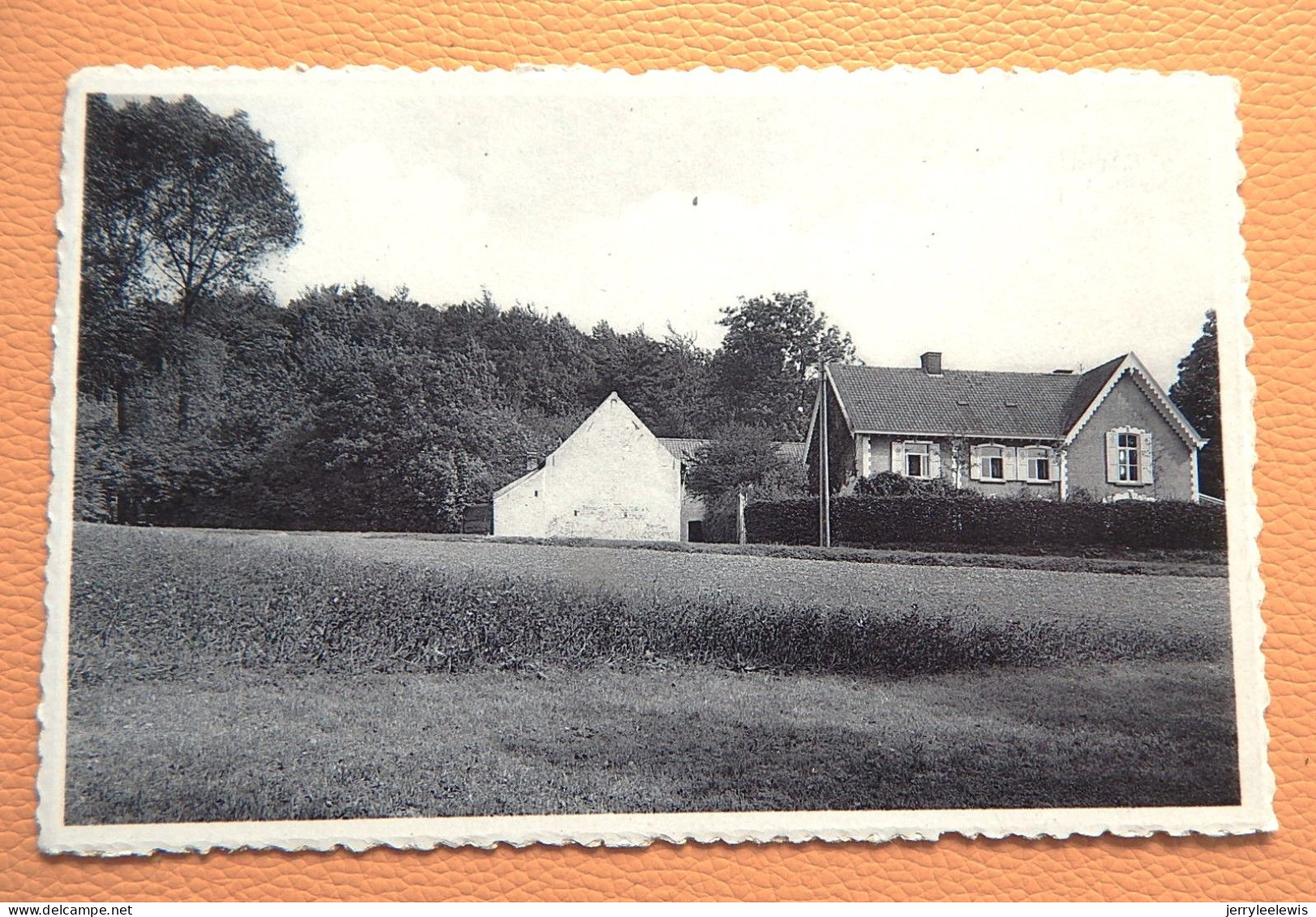 LOUISE-MARIE - MARKEDAL -  Muziekbergbosch - Maarkedal