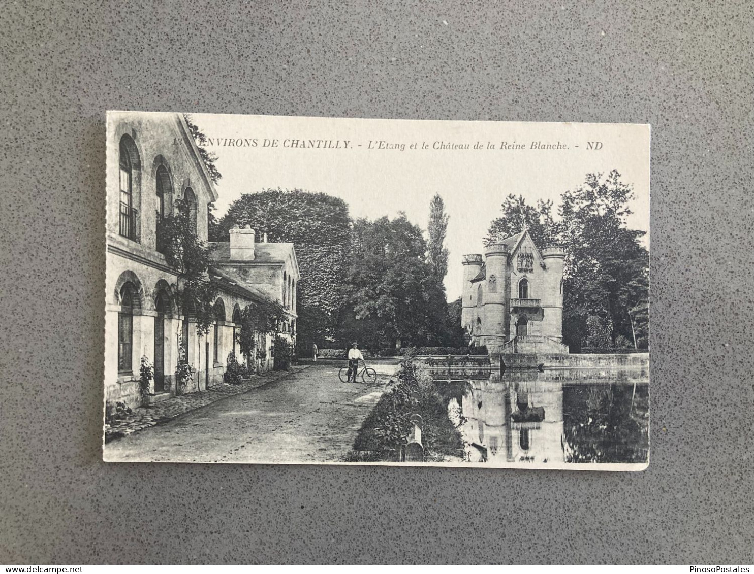 Environs De Chantilly - L'Etang Et Le Chateau De La Reine Blanche Carte Postale Postcard - Chantilly