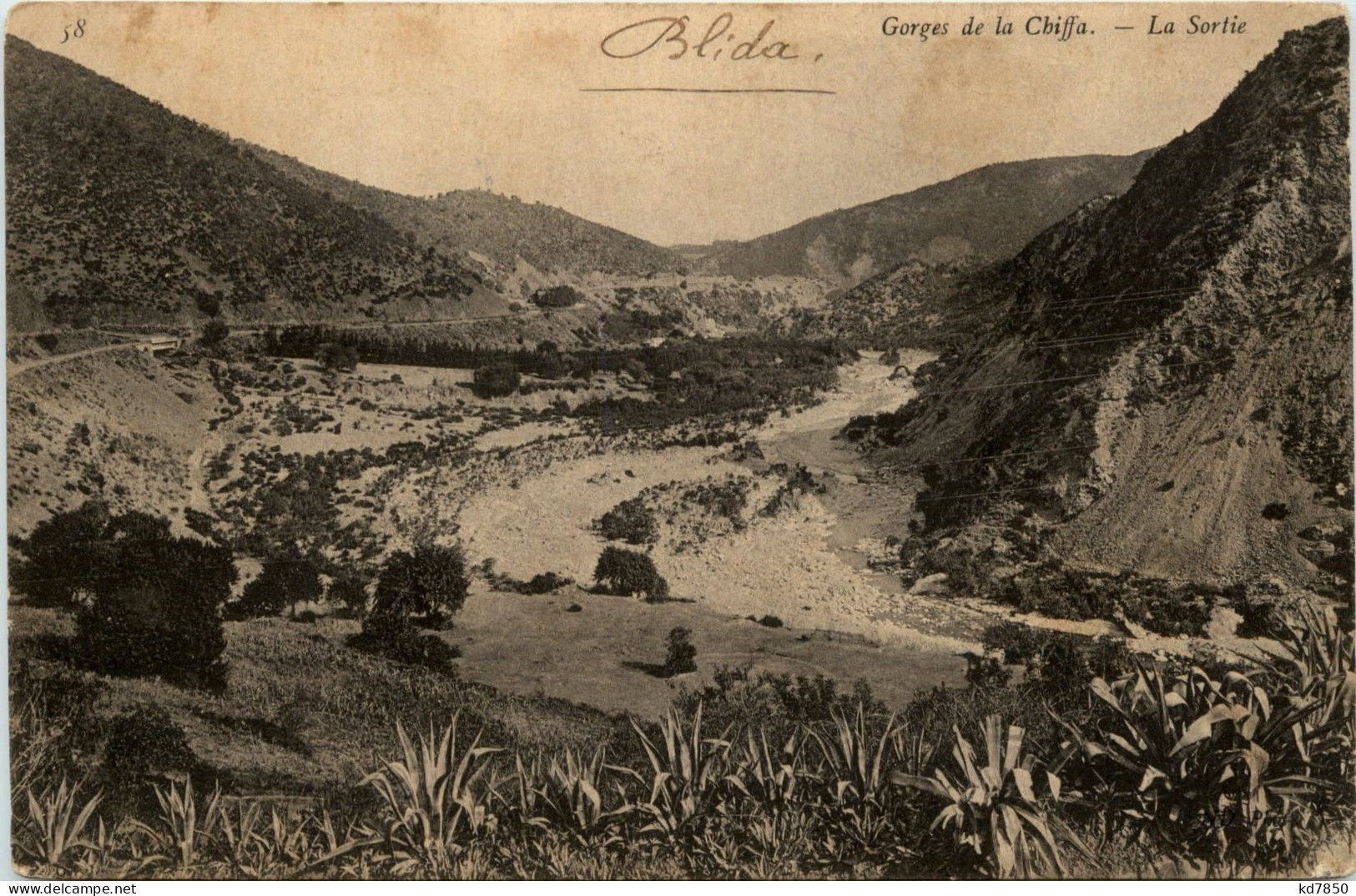 Blida - Gorges De La Chiffa - Blida