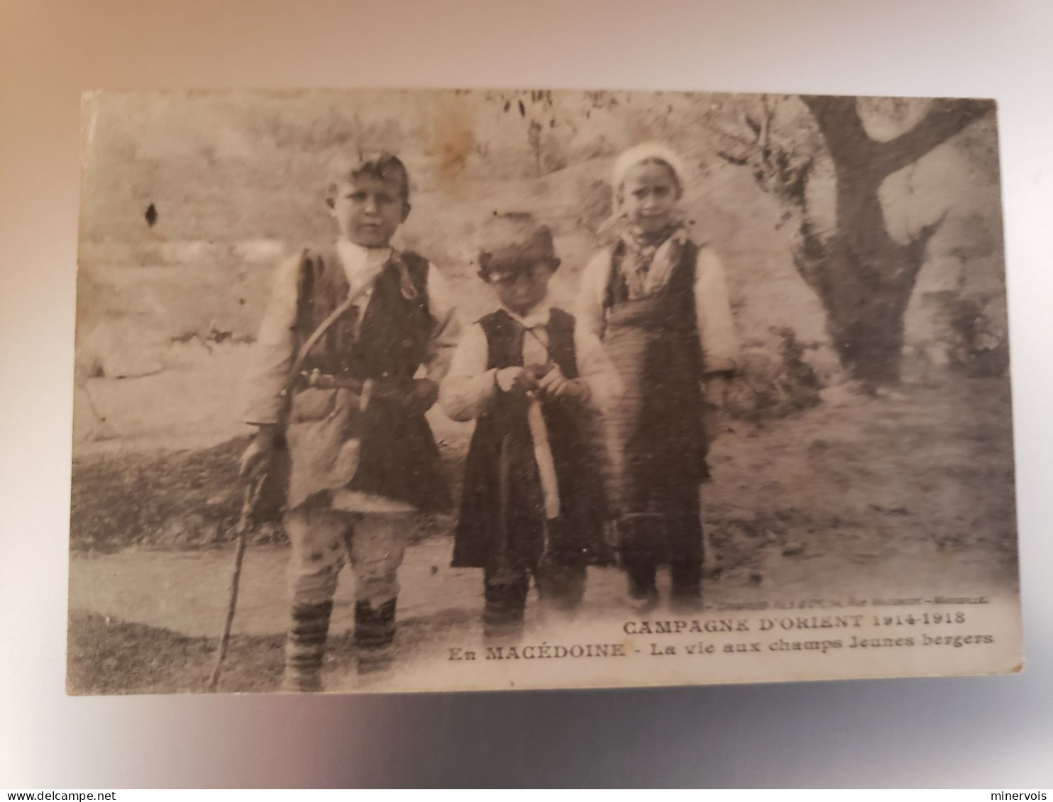 En Macedoine - La Vie Aux Champs Jeunes Bergers - Macédoine Du Nord