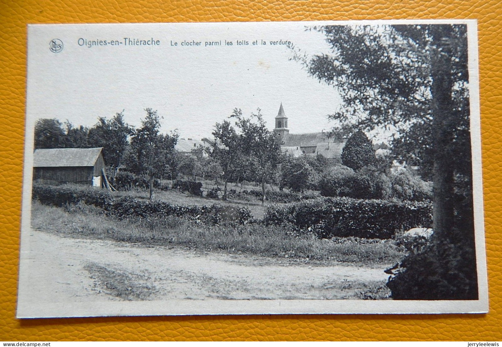 OIGNIES-en-THIERACHE - Le Clocher Parmi Les Toits Et La Verdure - Viroinval