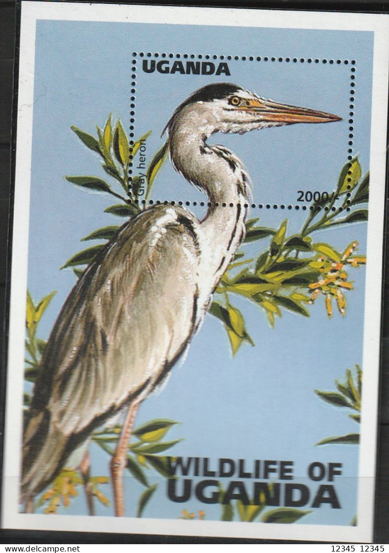 Uganda 1996, Postfris MNH, Birds - Ouganda (1962-...)