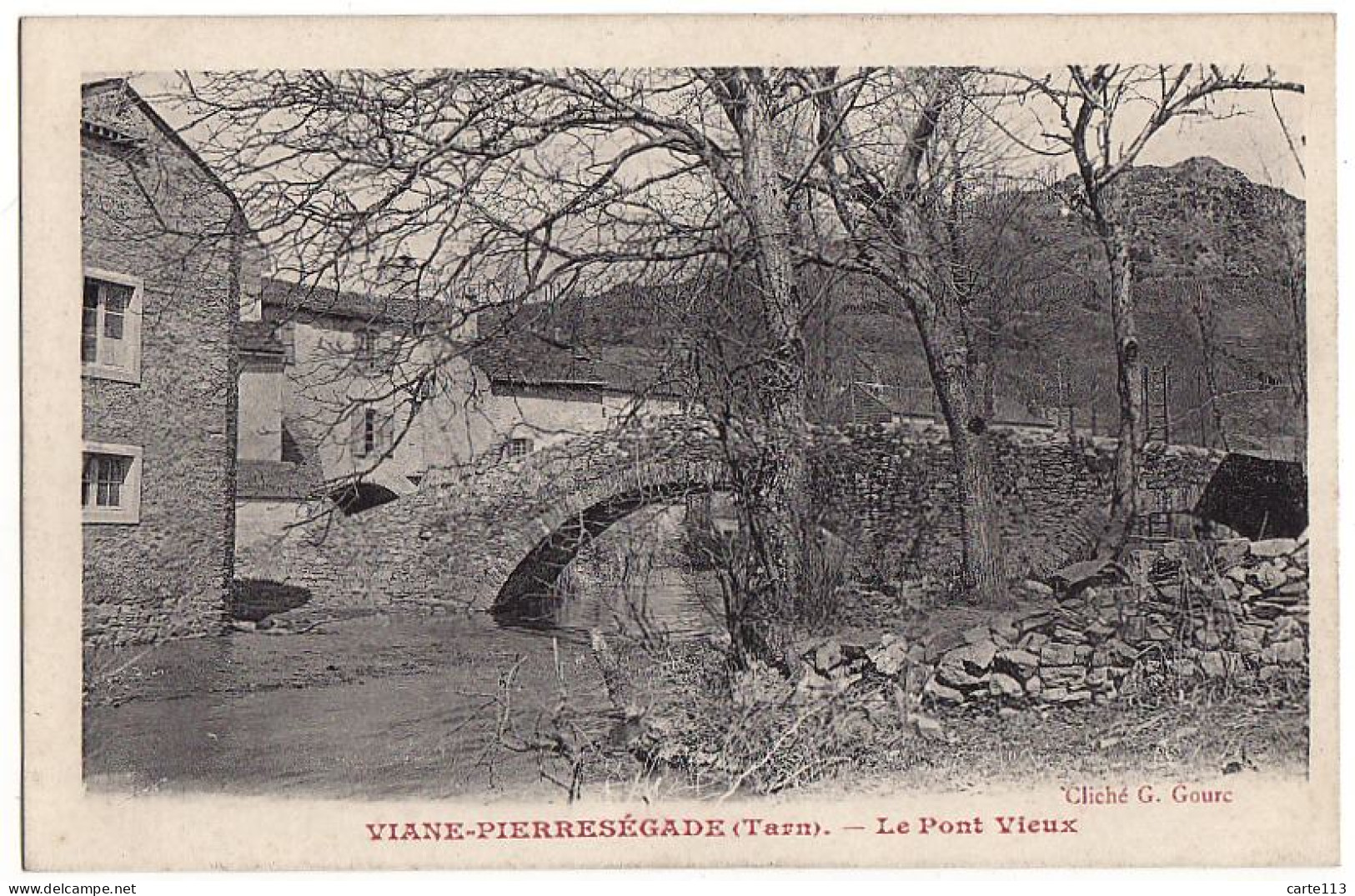 81 - B16521CPA - VIANE PIERRESEGADE - Le Pont Vieux - Parfait état - TARN - Sonstige & Ohne Zuordnung