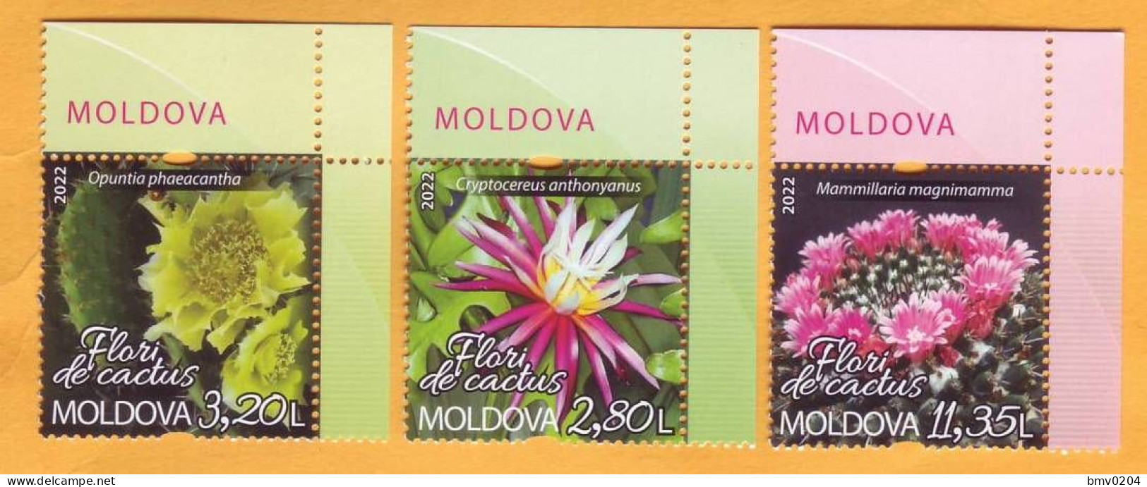 2022  Moldova  „Flora. Cactus Flowers From Botanical Garden.” Set 3v Mint - Moldavie