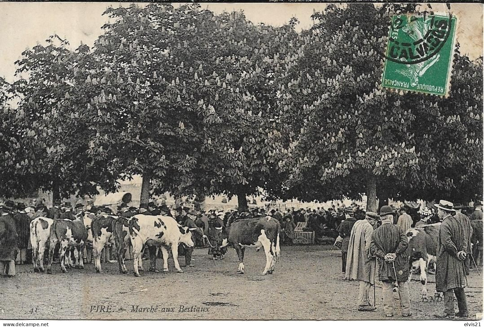 VIRE Marché Aux Bestiaux - Vire