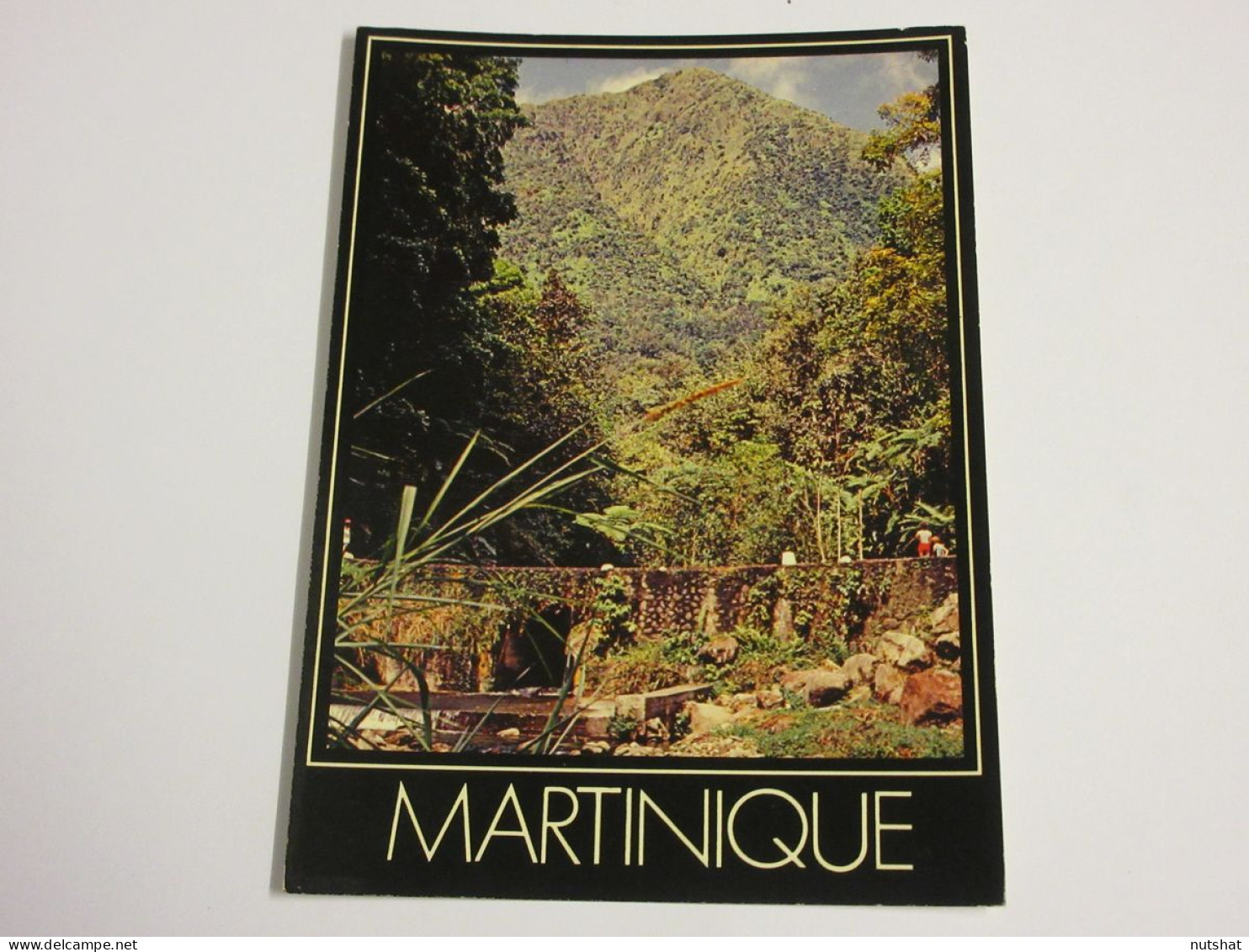 CP CARTE POSTALE MARTINIQUE RIVIERE De MACOUBA - Ecrite - Other & Unclassified