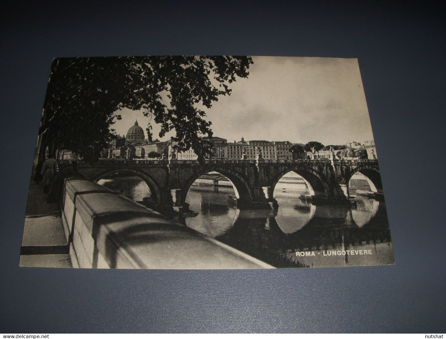 CP CARTE POSTALE ITALIE ROME LUNGOTEVERE LONG Du TIBRE - Vierge - Ponts