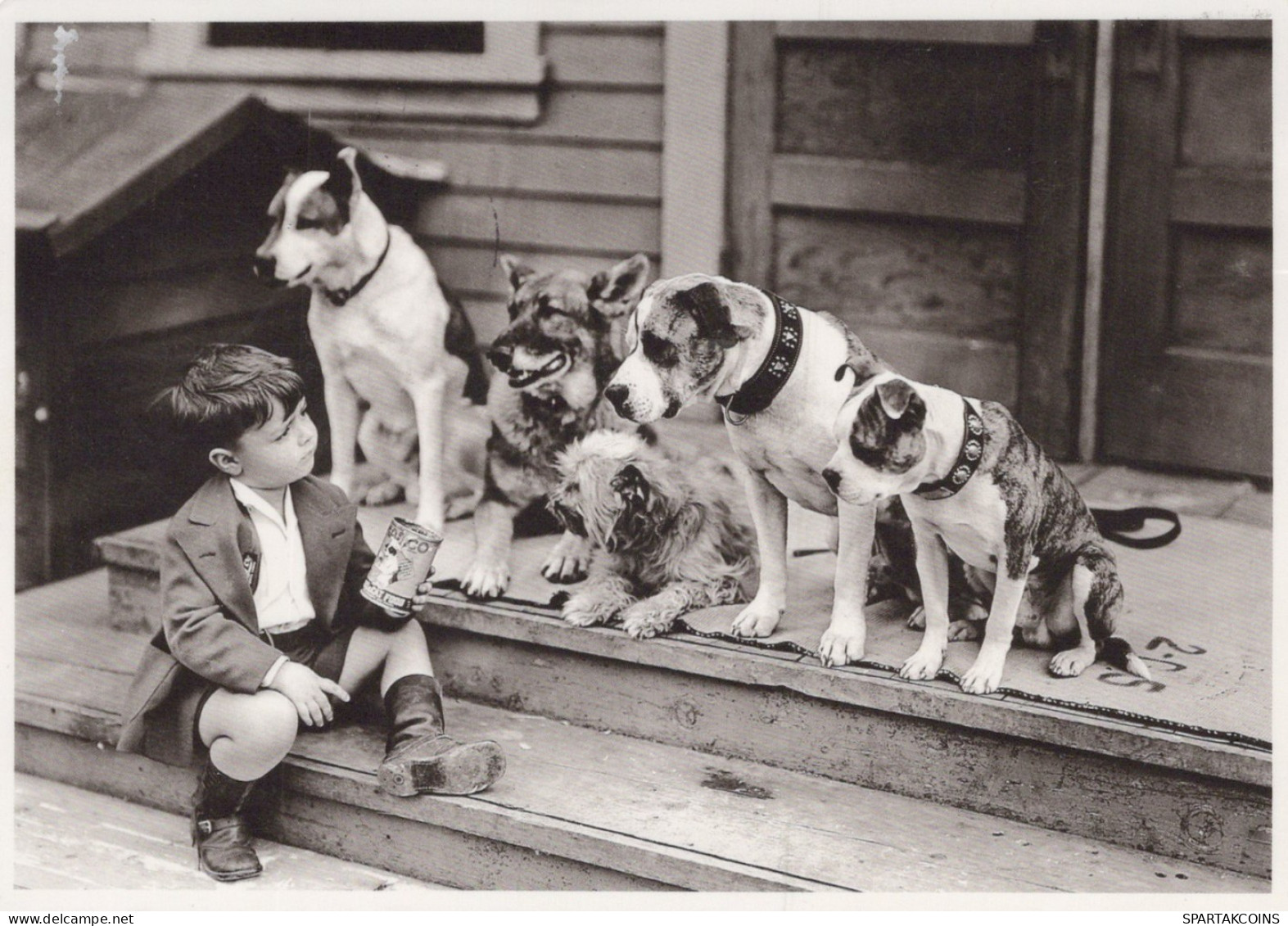 PERRO Animales Vintage Tarjeta Postal CPSM #PAN883.ES - Chiens