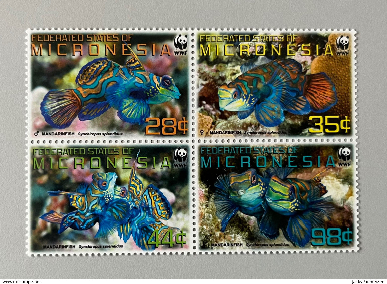 WWF 2009 : MICRONESIA - Fish -  MNH ** - Ungebraucht