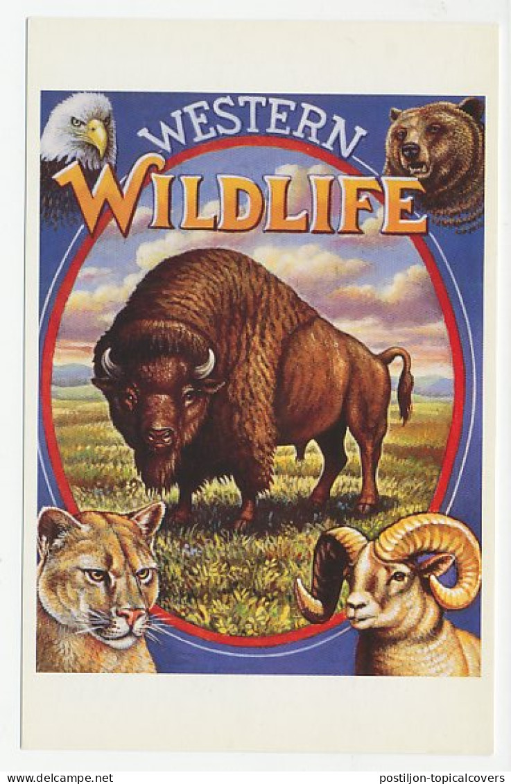 Postal Stationery USA 1993 Buffalo - Bear - Bighorn Sheep - Cougars - Eagle - Western  - Sonstige & Ohne Zuordnung