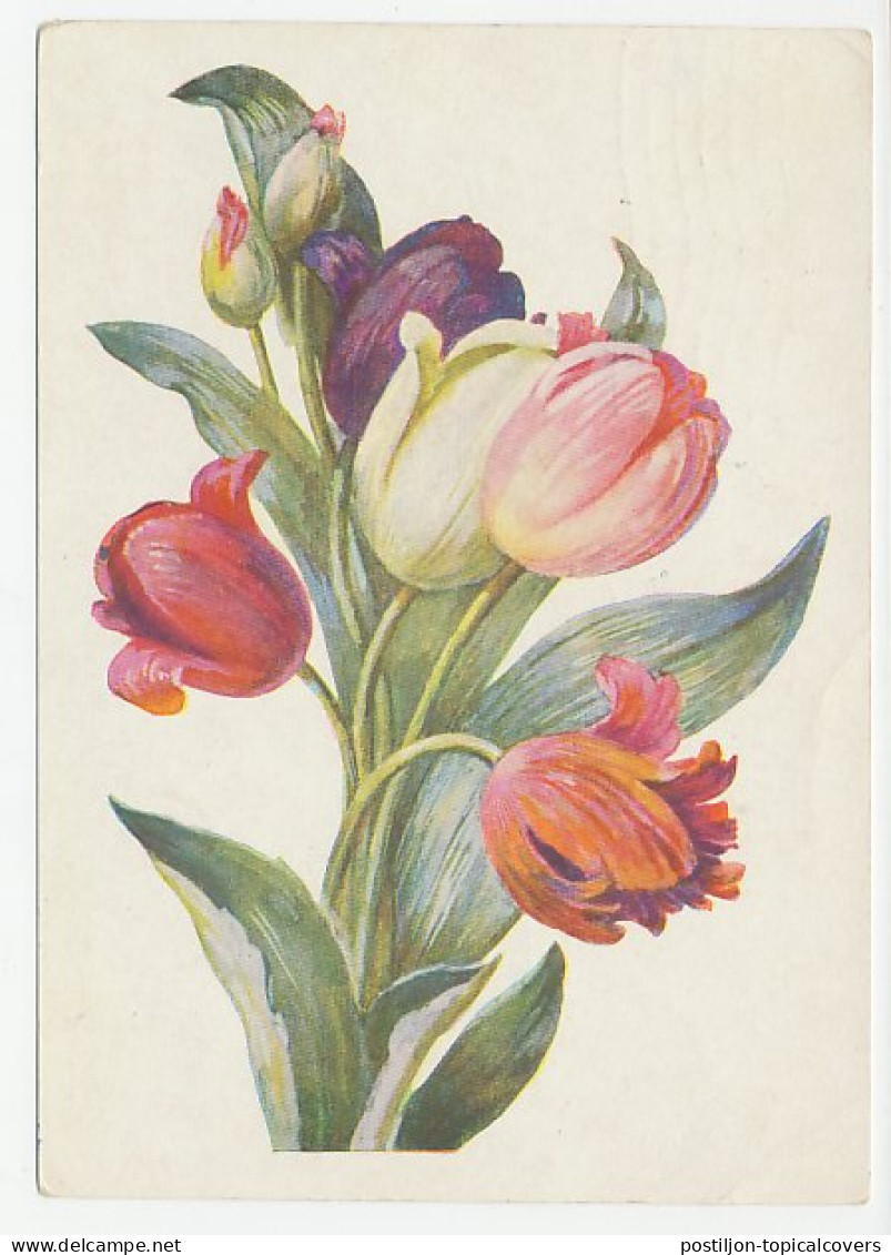 Postal Stationery Soviet Union 1960 Flower - Tulip - Other & Unclassified
