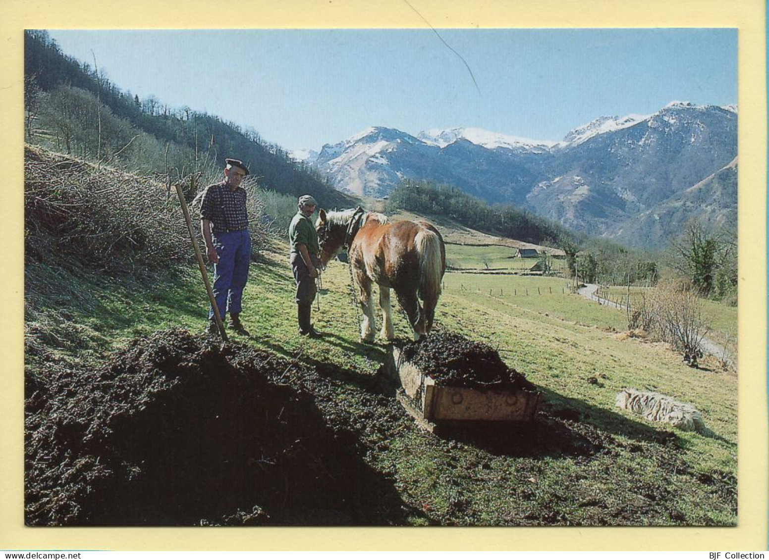 Epandage Du Fumier (Elizabeth ARRIUS-PARDIES N° D111) Images D'un Temps Qui Passe / Collection Vallées Pyrénéennes - Paysans