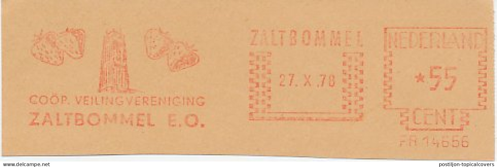 Meter Cut Netherlands 1978 Strawberry - Church St. Martin - Fruit