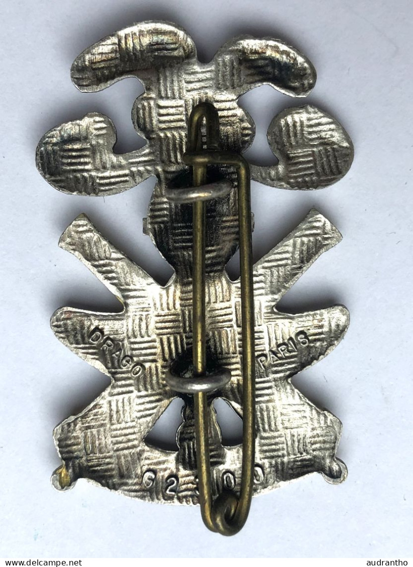 Insigne Militaire -  Cavalerie Du Camp De Canjuers G2300 DRAGO - Army