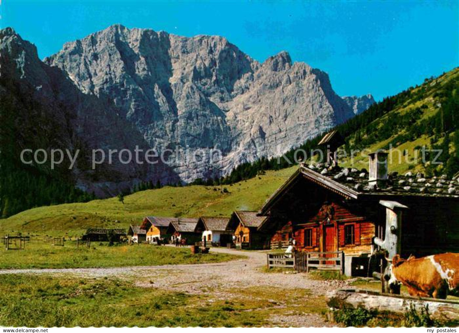 72709553 Eng Alm Almen Im Karwendel Brunnen Kuh Eng Alm - Sonstige & Ohne Zuordnung