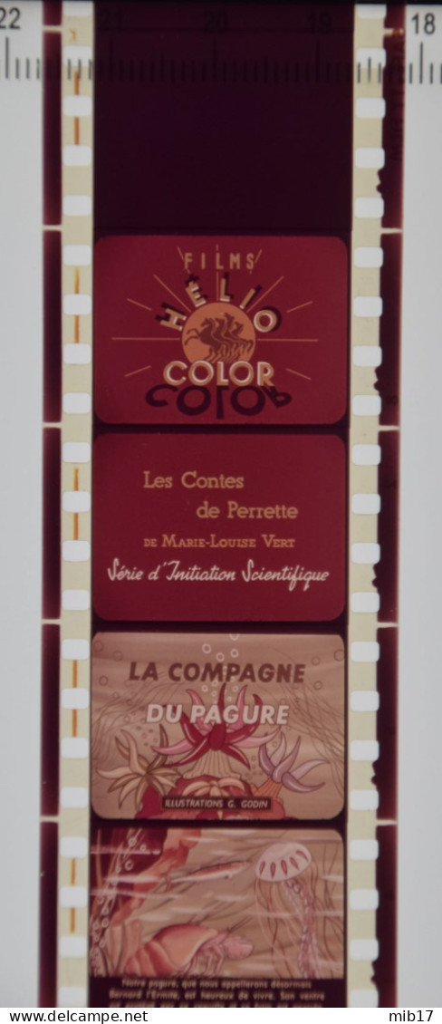 Films HELIO COLOR Pour PATHEORAMA Avec Boite D'origine - Contes Scientifique N°24 La Compagne Du Pagure - Pellicole Cinematografiche: 35mm-16mm-9,5+8+S8mm