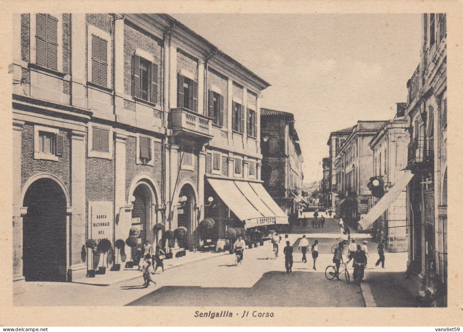 SENIGALLIA-ANCONA-IL CORSO- CARTOLINA NON  VIAGGIATA -1938-1948 - Ancona