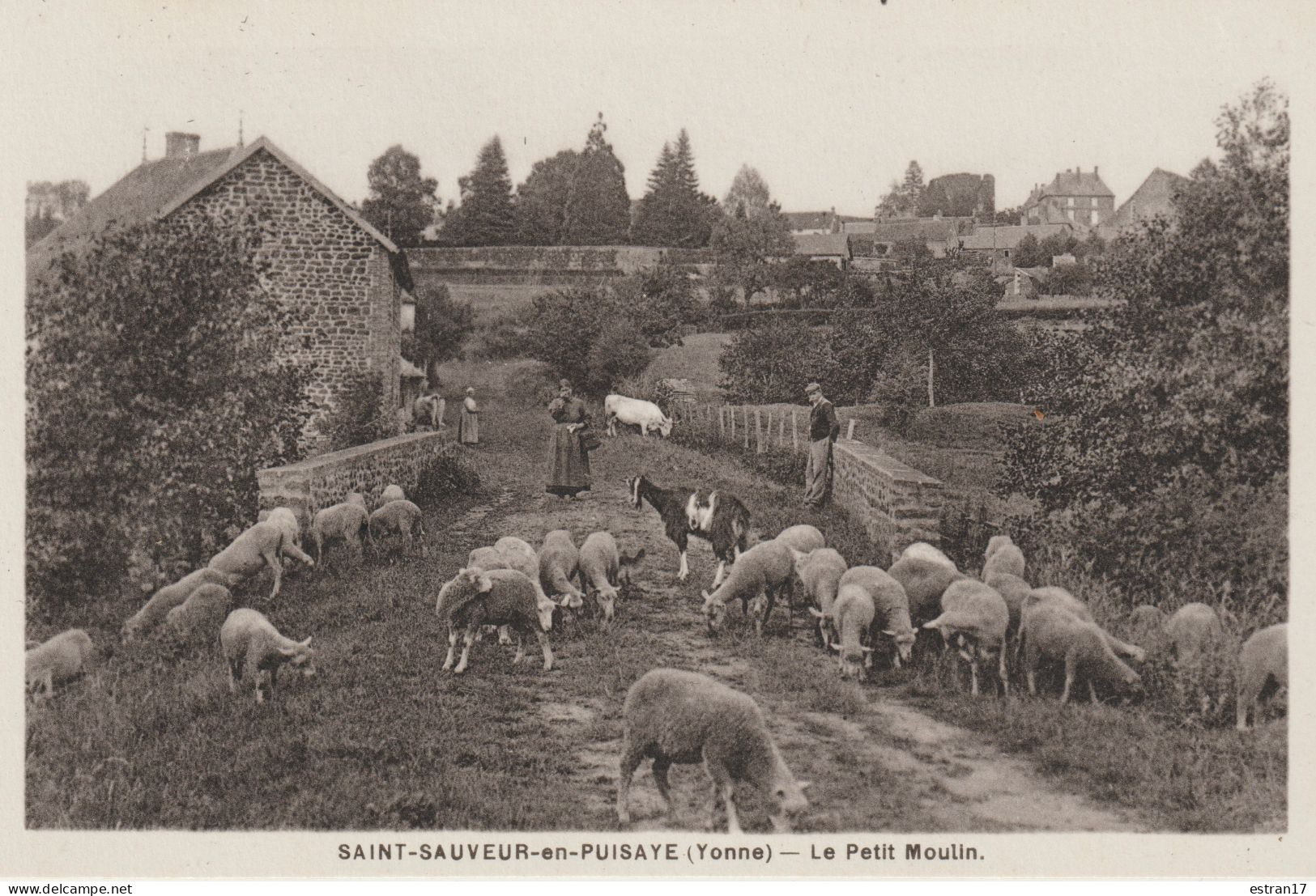 89 SAINT-SAUVEUR-EN-PUISAYE  LE PETIT MOULIN - Saint Sauveur En Puisaye