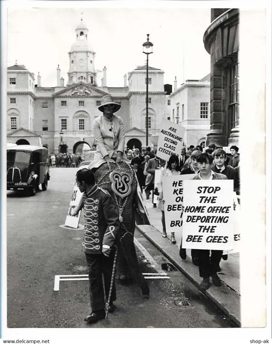 C6284/ Demonstration Für Die Bee Gees Aufenthaltsrecht In England Foto 1967 - Andere & Zonder Classificatie