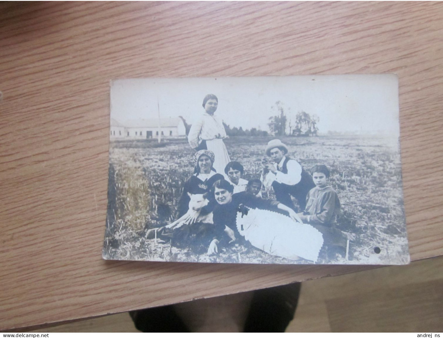 Szabadka Subotica Family In Field Old Photo Postcards - Serbie