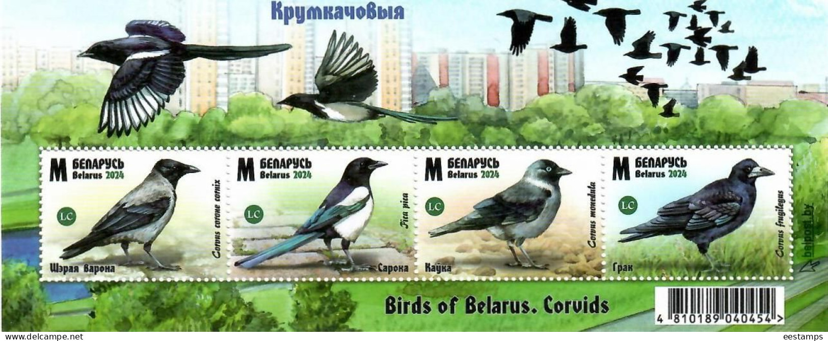 Belarus 2024 . Birds Of Belarus. Corvids. S/S - Belarus