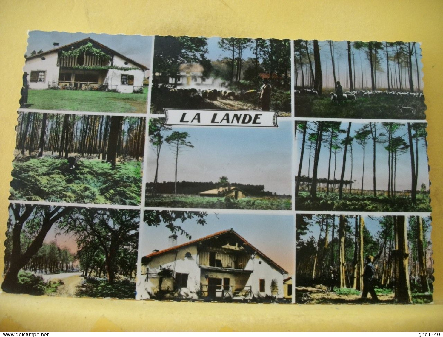 40 4402 LOT N° 2 DE 10 CPA DIFFERENTES SUR SCENES ET TYPES DANS LES LANDES