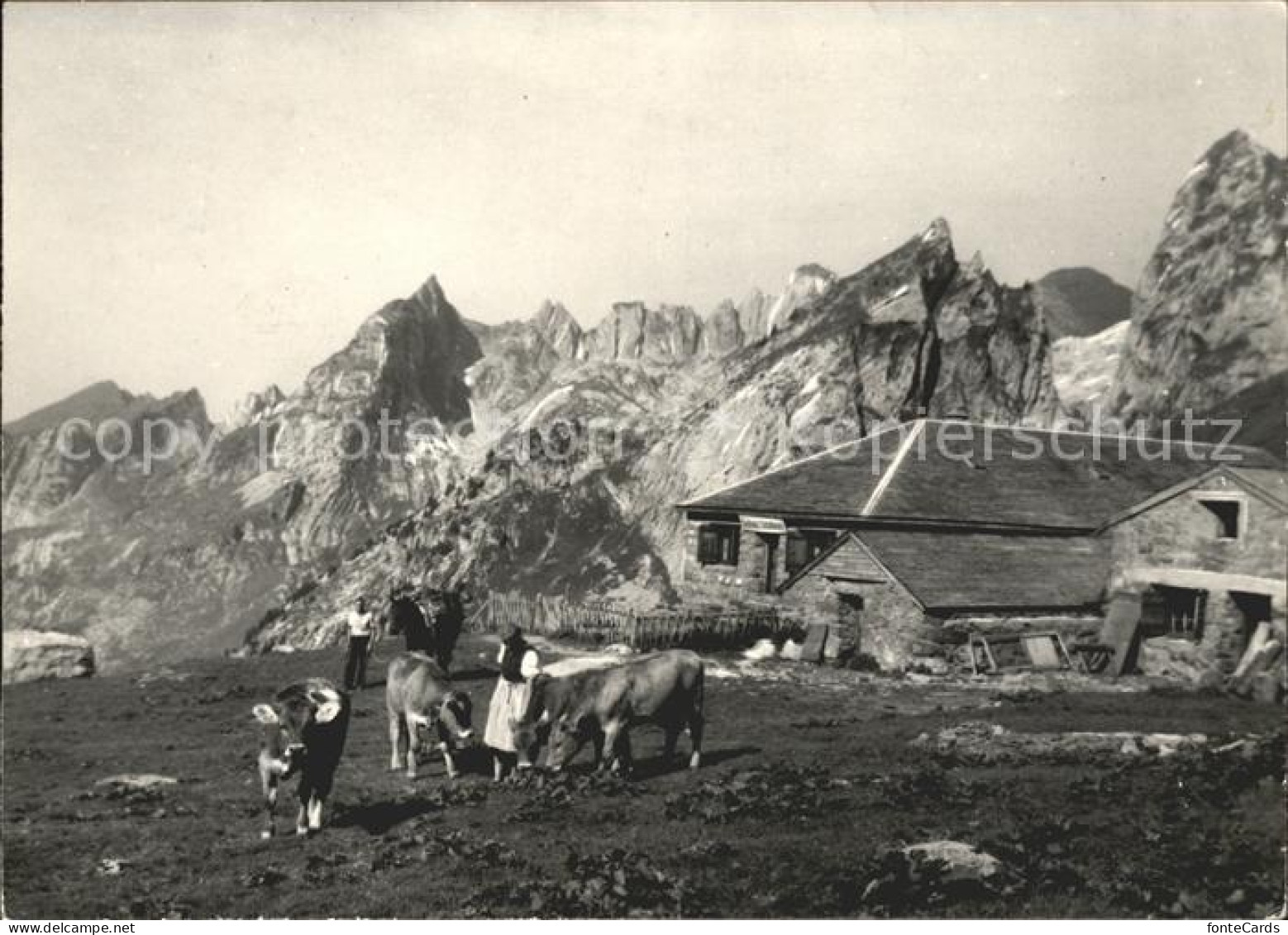 11848947 Wildhaus SG Gasthaus Schafboden Wildhaus - Autres & Non Classés