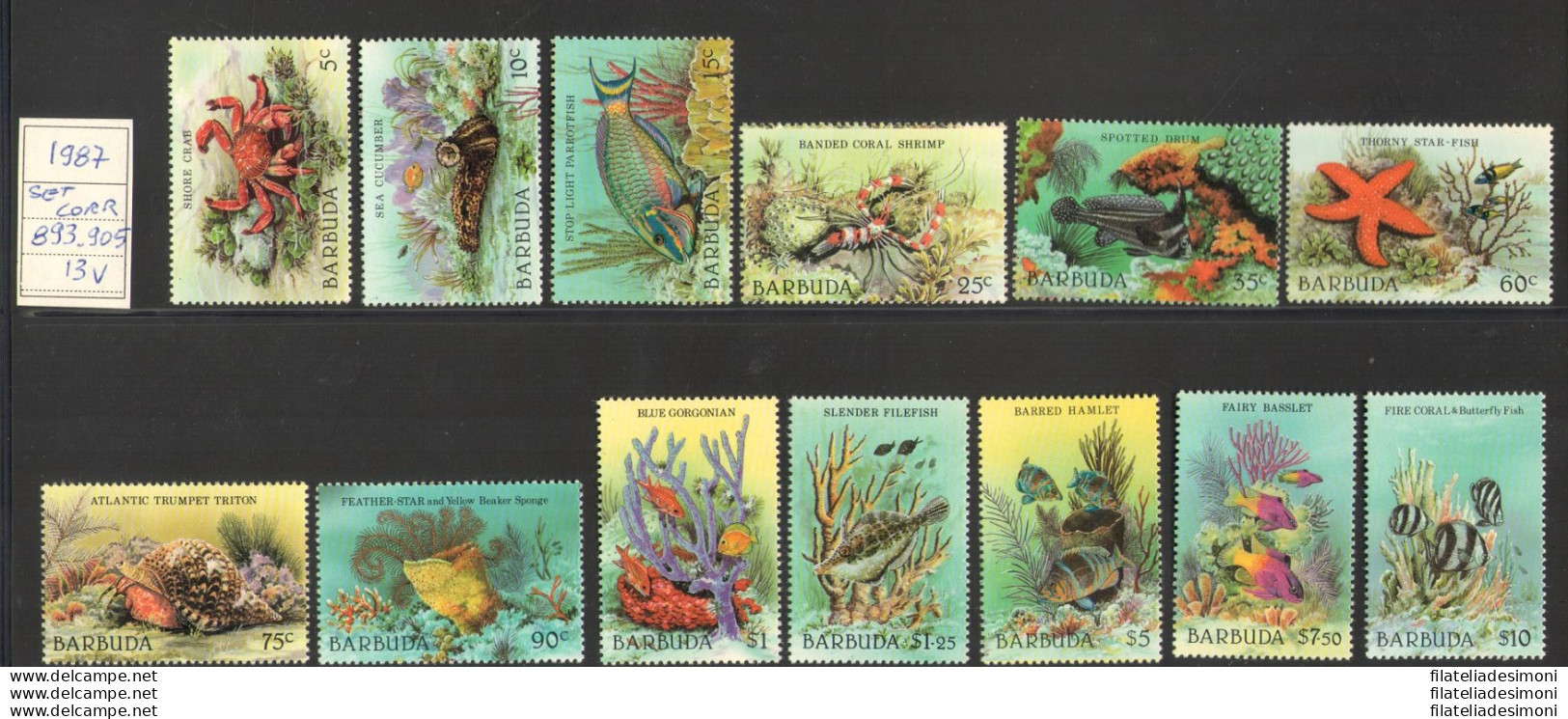 1987 Barbuda - Yvert Et Tellier N. 893-905 - Serie Ordinaria - Fauna Marina - 13 Valori - MNH** - Altri & Non Classificati