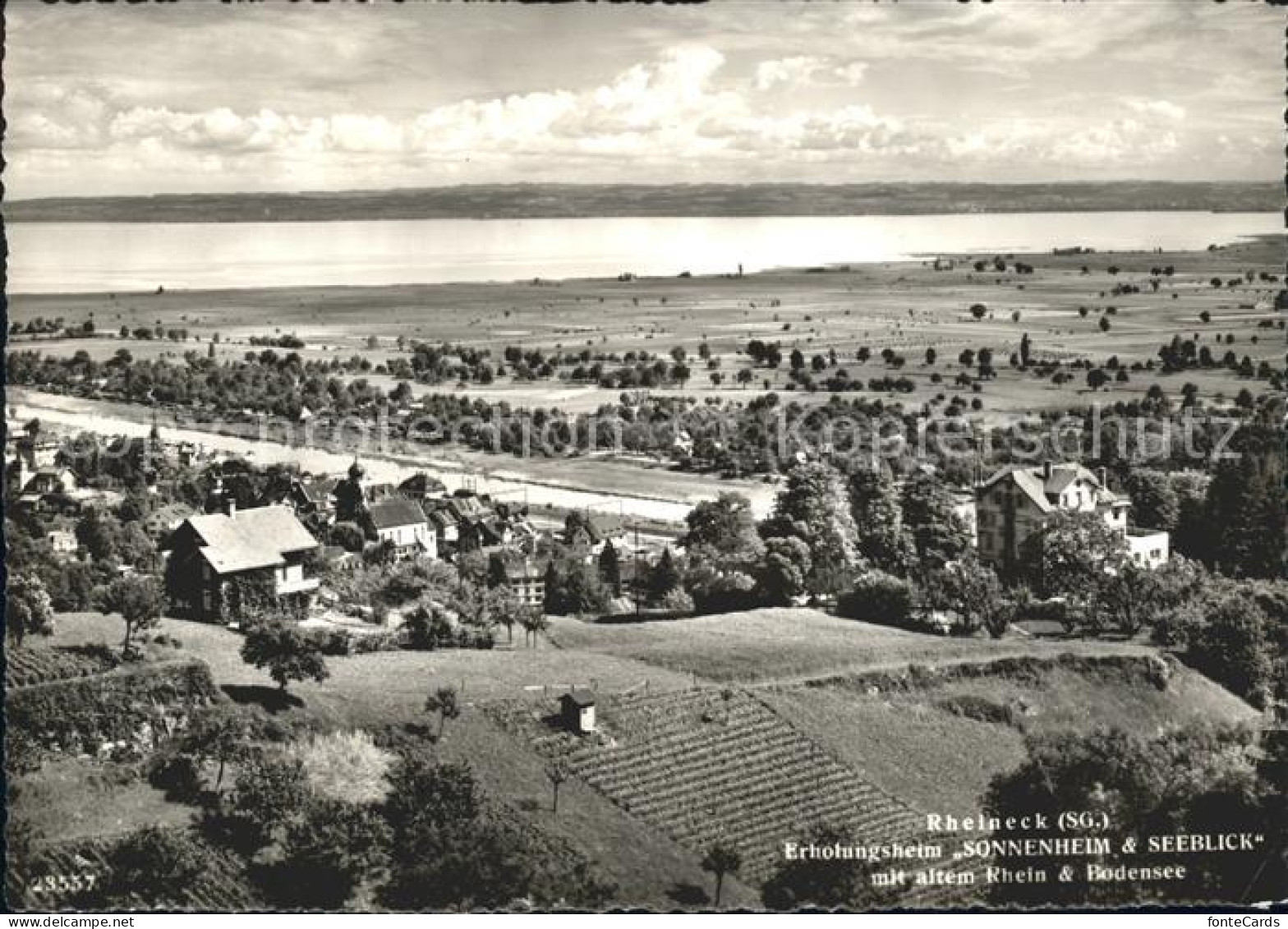 11837176 Rheineck SG Erholungsheim Sonnenheim Seeblick Alte Rhein Bodensee Rhein - Sonstige & Ohne Zuordnung