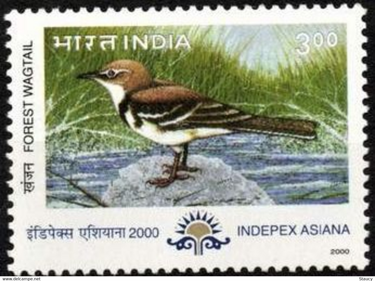 INDIA 2000 Indepex Asiana 2000 International Philatelic Exhibition - BIRDS 1v STAMP MNH, P.O Fresh & Fine - Sonstige & Ohne Zuordnung