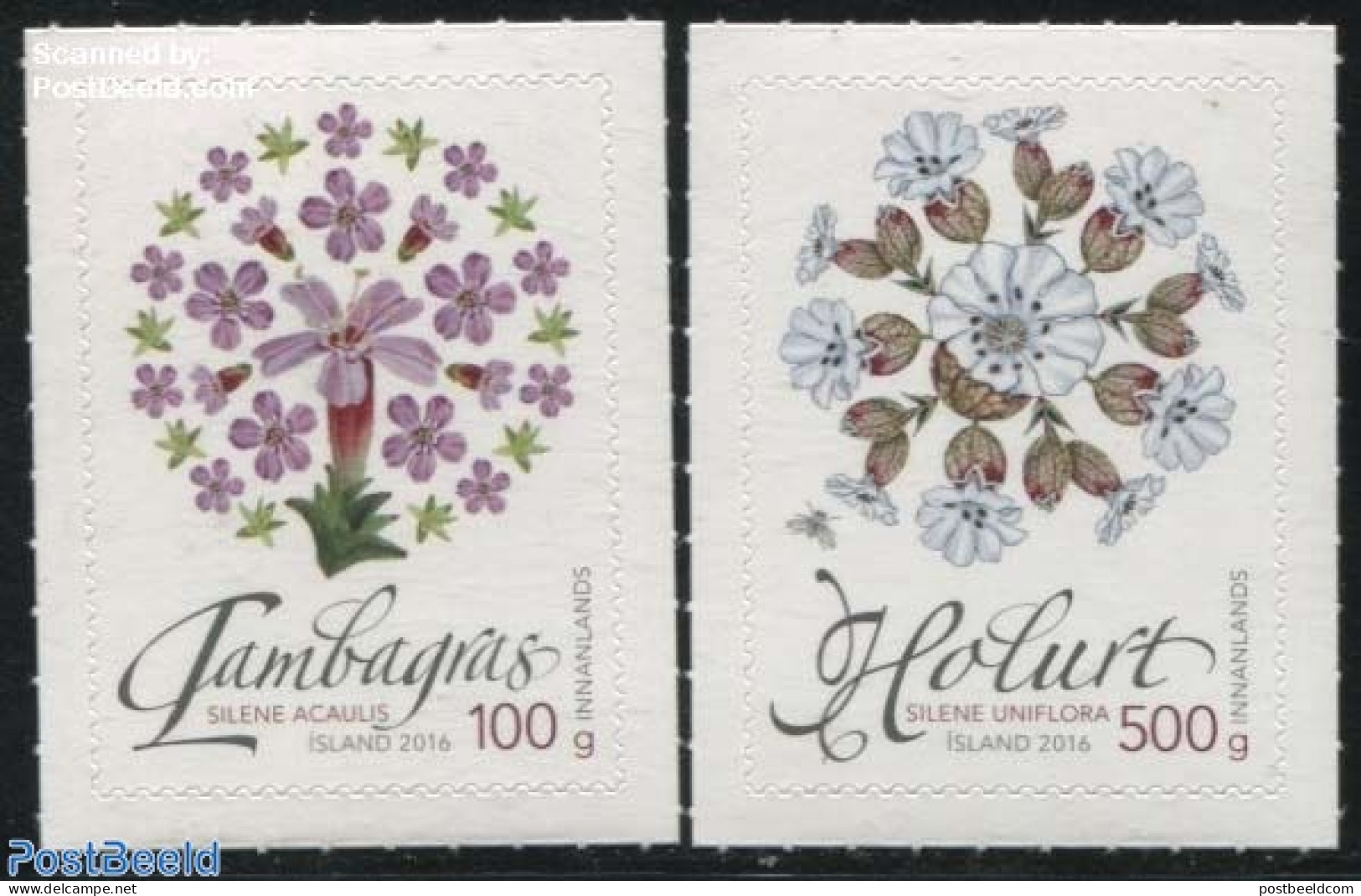 Iceland 2016 Wild Vegetation 2v S-a, Mint NH, Nature - Flowers & Plants - Unused Stamps