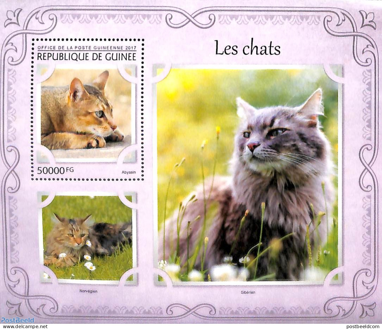 Guinea, Republic 2017 Cats S/s, Mint NH, Nature - Cats - Other & Unclassified