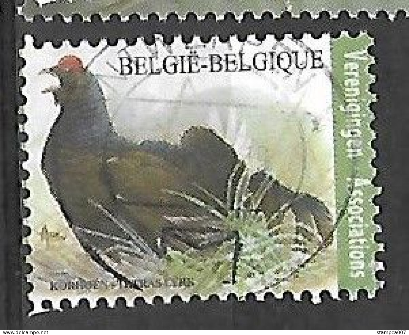 OCB Nr 4305 Buzin Fauna Korhoen Tertas Lyre Verenigingen Associations Centrale Stempel - 1985-.. Oiseaux (Buzin)