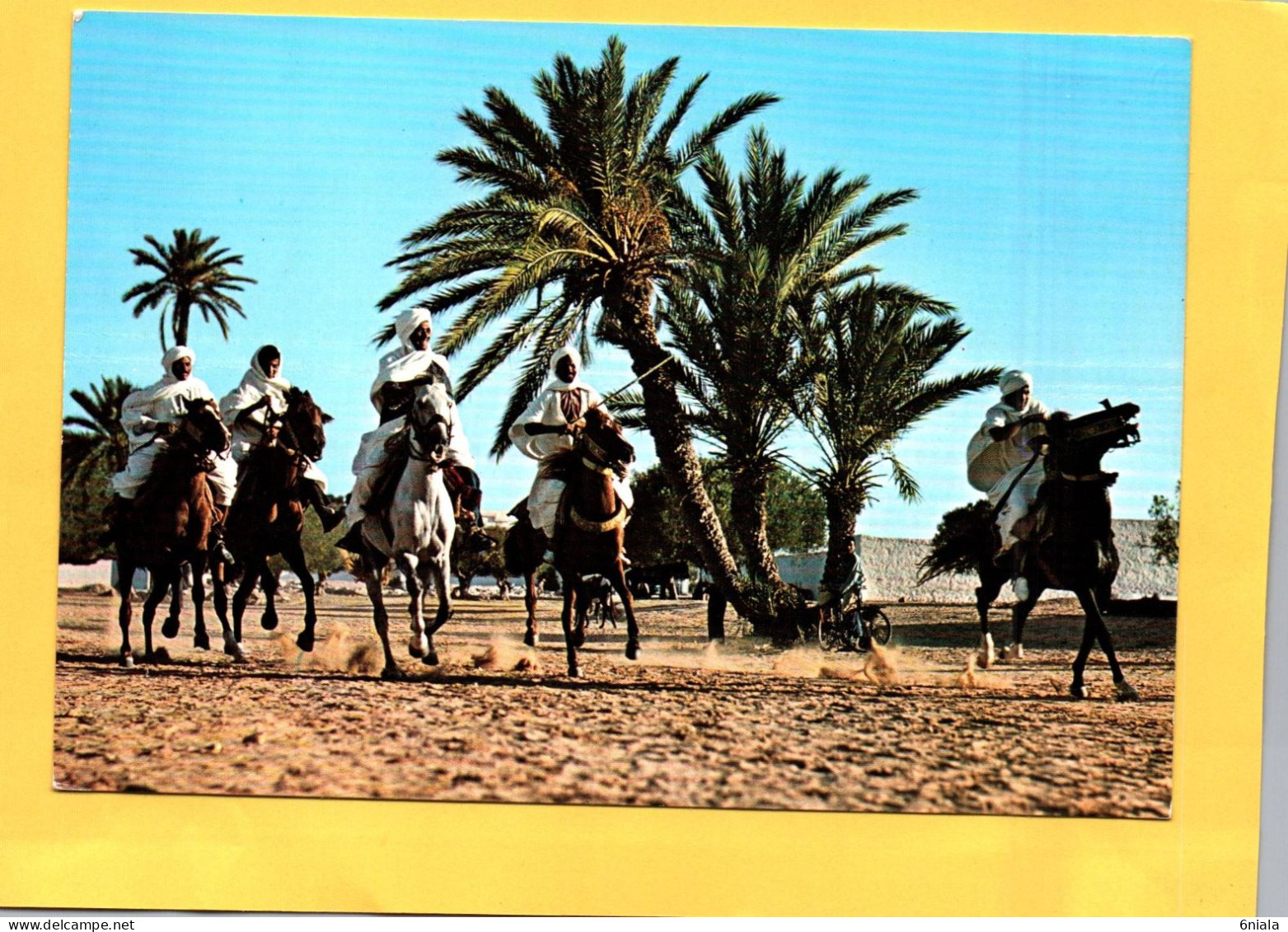 Fantasia TUNISIE  (Cavaliers Chevaux )    ( 21675 ) - Tunisie