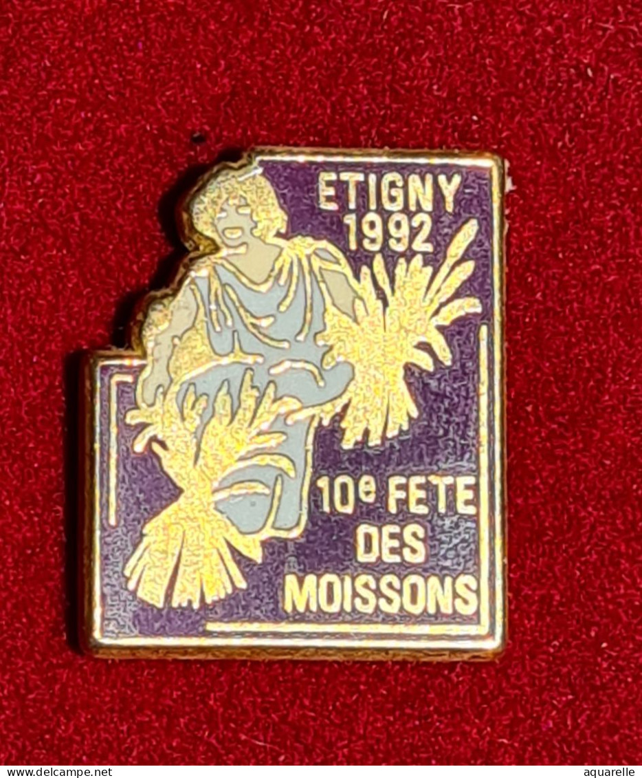 SUPER PIN'S Ville D'ETIGNY En 1992, "10em FÊTE Des MOISSONS Dans L'YONNE En ZAMAC Base Or, Format 2,3X2,3cm - Cities