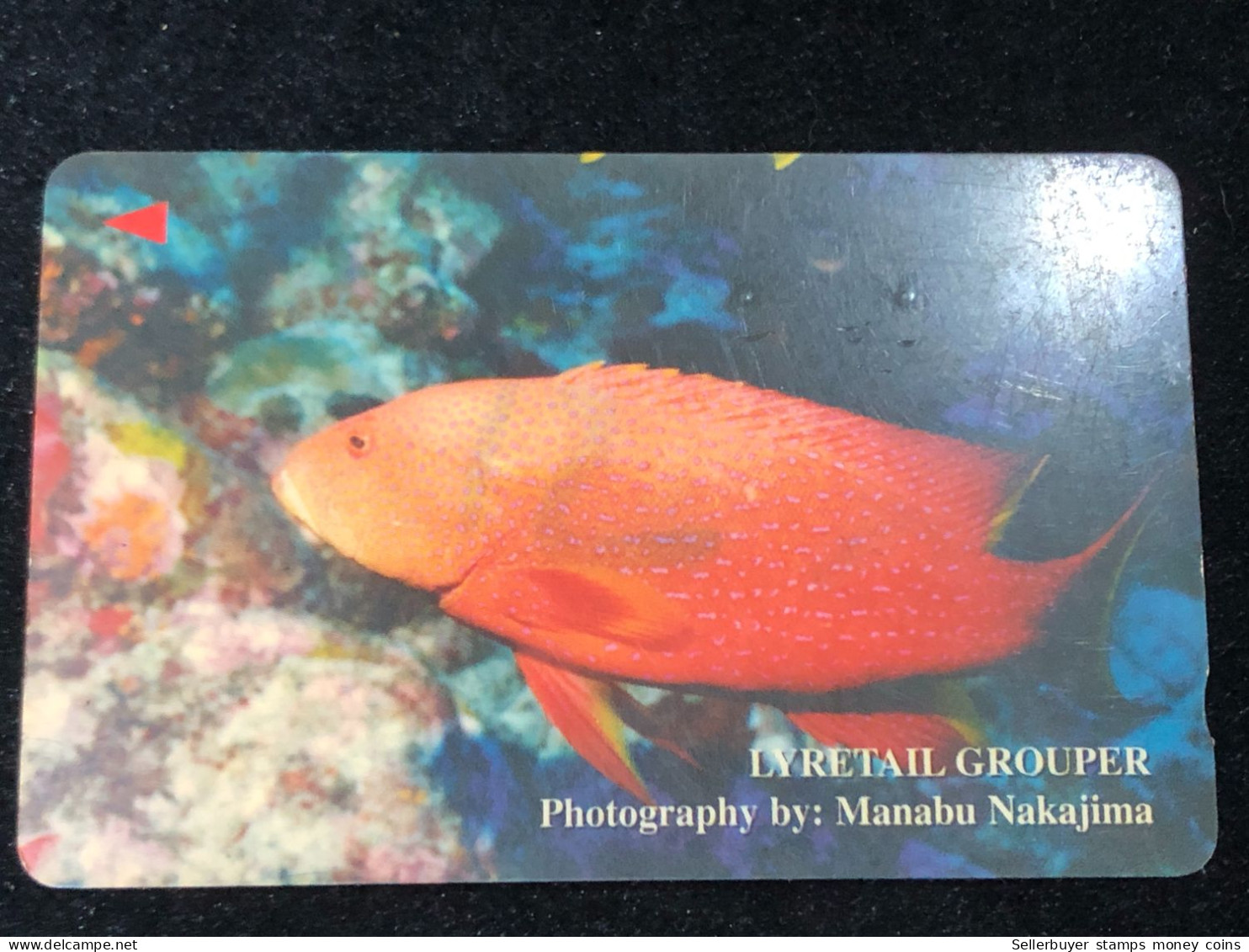 Card Phonekad Vietnam(lyretail Grouper 300 000dong-1998)-1pcs - Vietnam