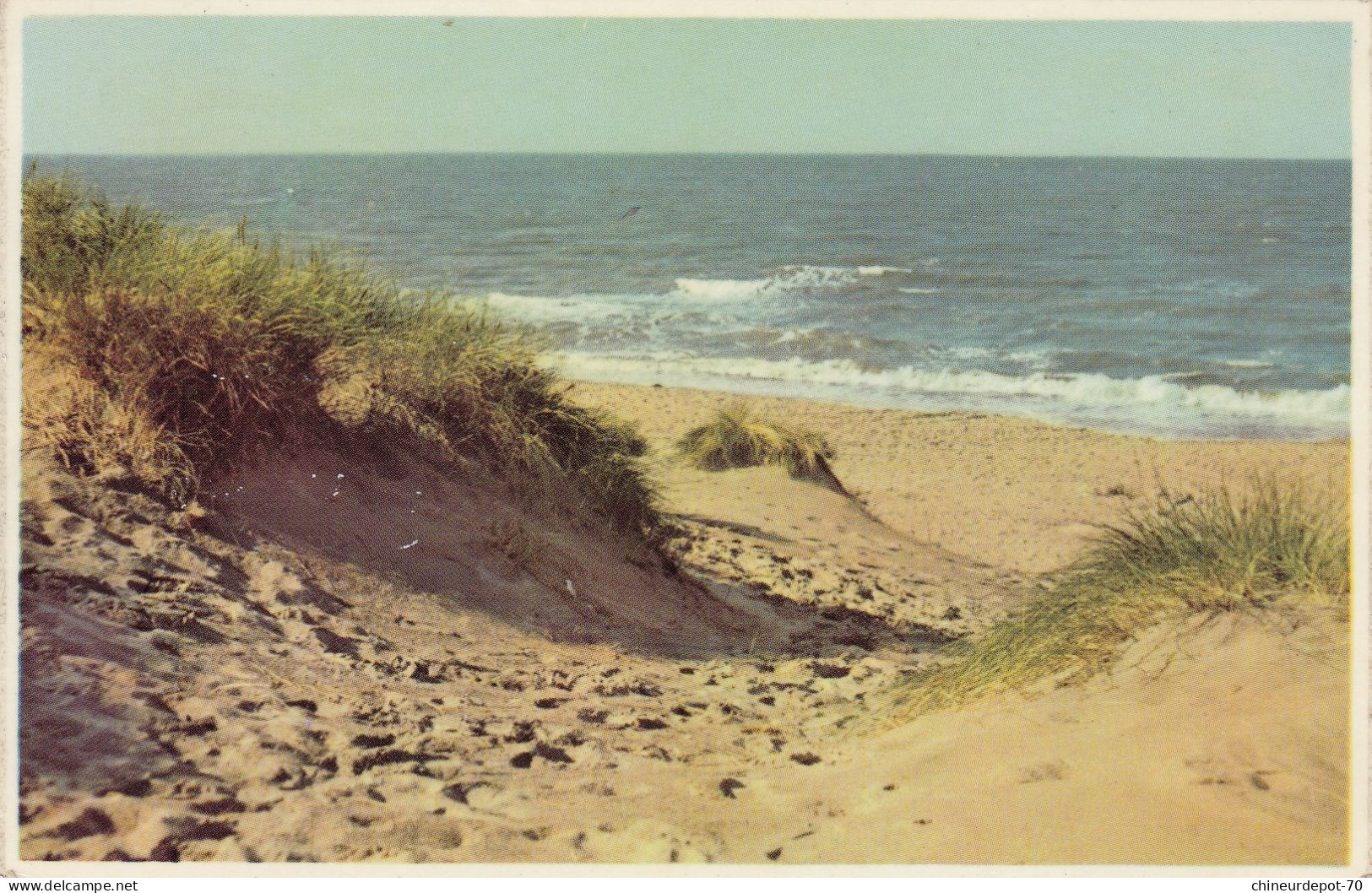 LITORAL BELGE   DUNES ET MER - Other & Unclassified