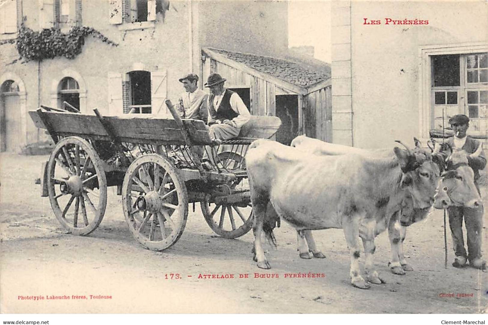 Attelage De Boeufs Pyrénéens - Très Bon état - Autres & Non Classés