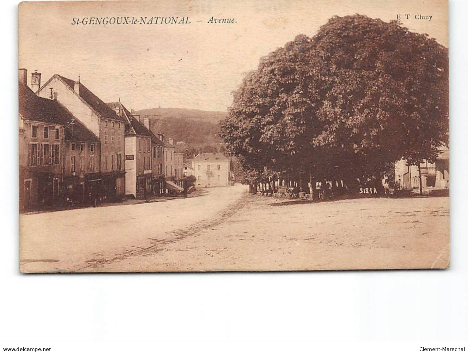 SAINT GENGOUX LE NATIONAL - Avenue - Très Bon état - Autres & Non Classés