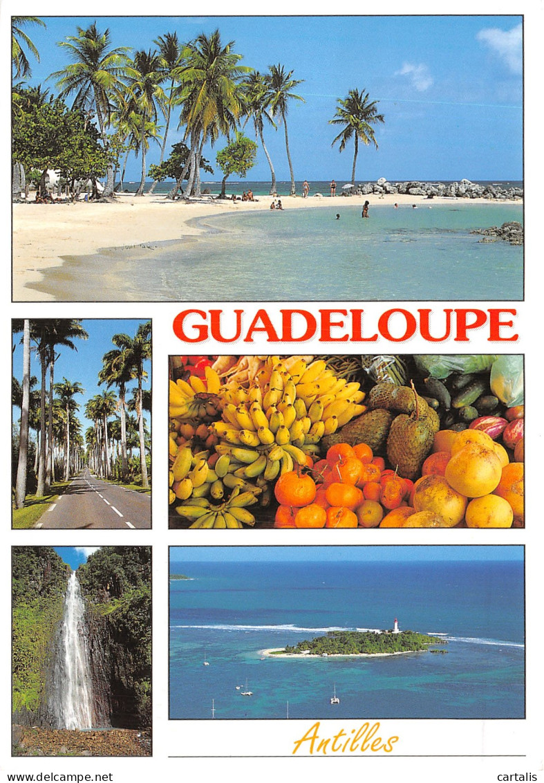 971-GUADELOUPE-N°4204-A/0047 - Sonstige & Ohne Zuordnung