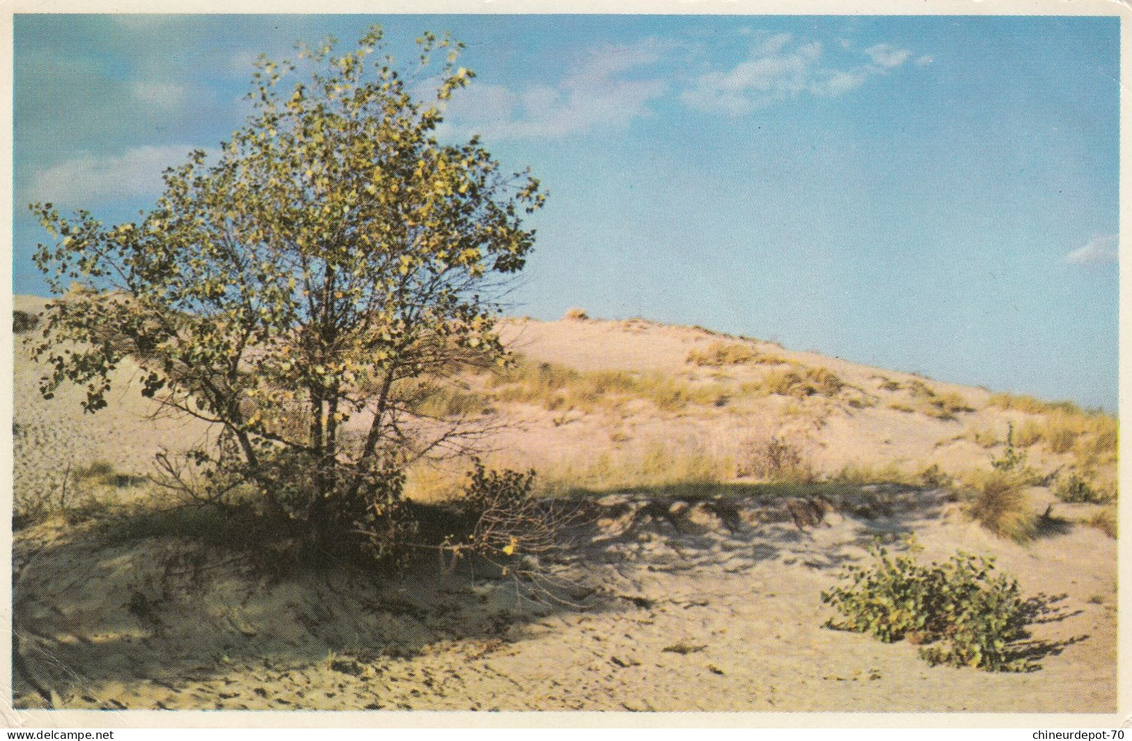 LITORAL BELGE   LES DUNES - Sonstige & Ohne Zuordnung