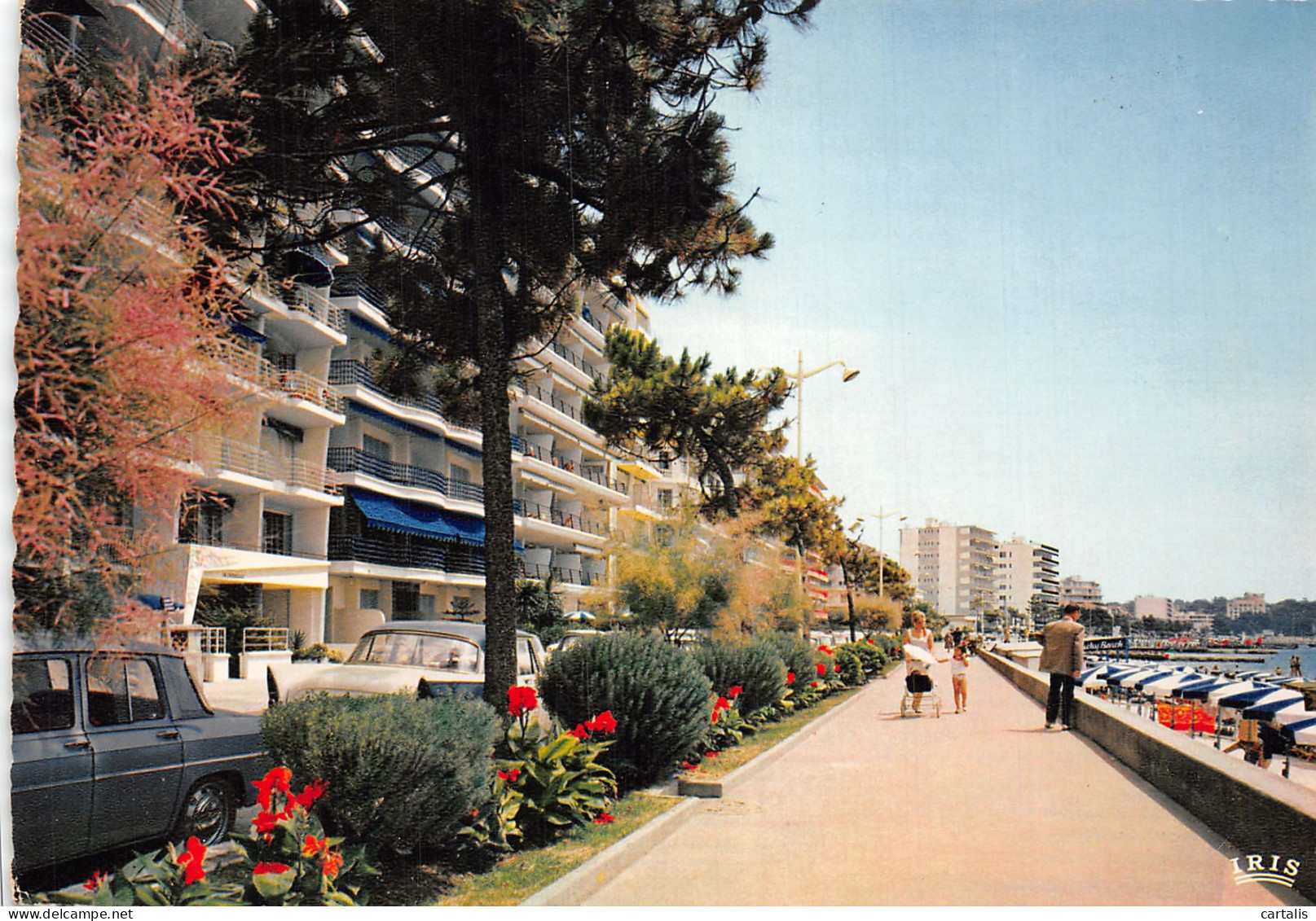 06-JUAN LES PINS-N°4204-D/0289 - Juan-les-Pins