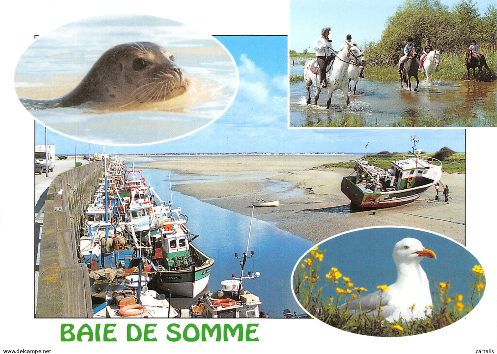 80-BAIE DE SOMME-N°4205-B/0285 - Otros & Sin Clasificación