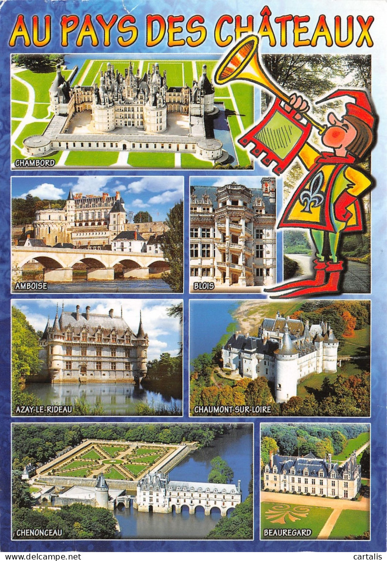 37-CHATEAUX DE LA LOIRE-N°4205-A/0367 - Andere & Zonder Classificatie