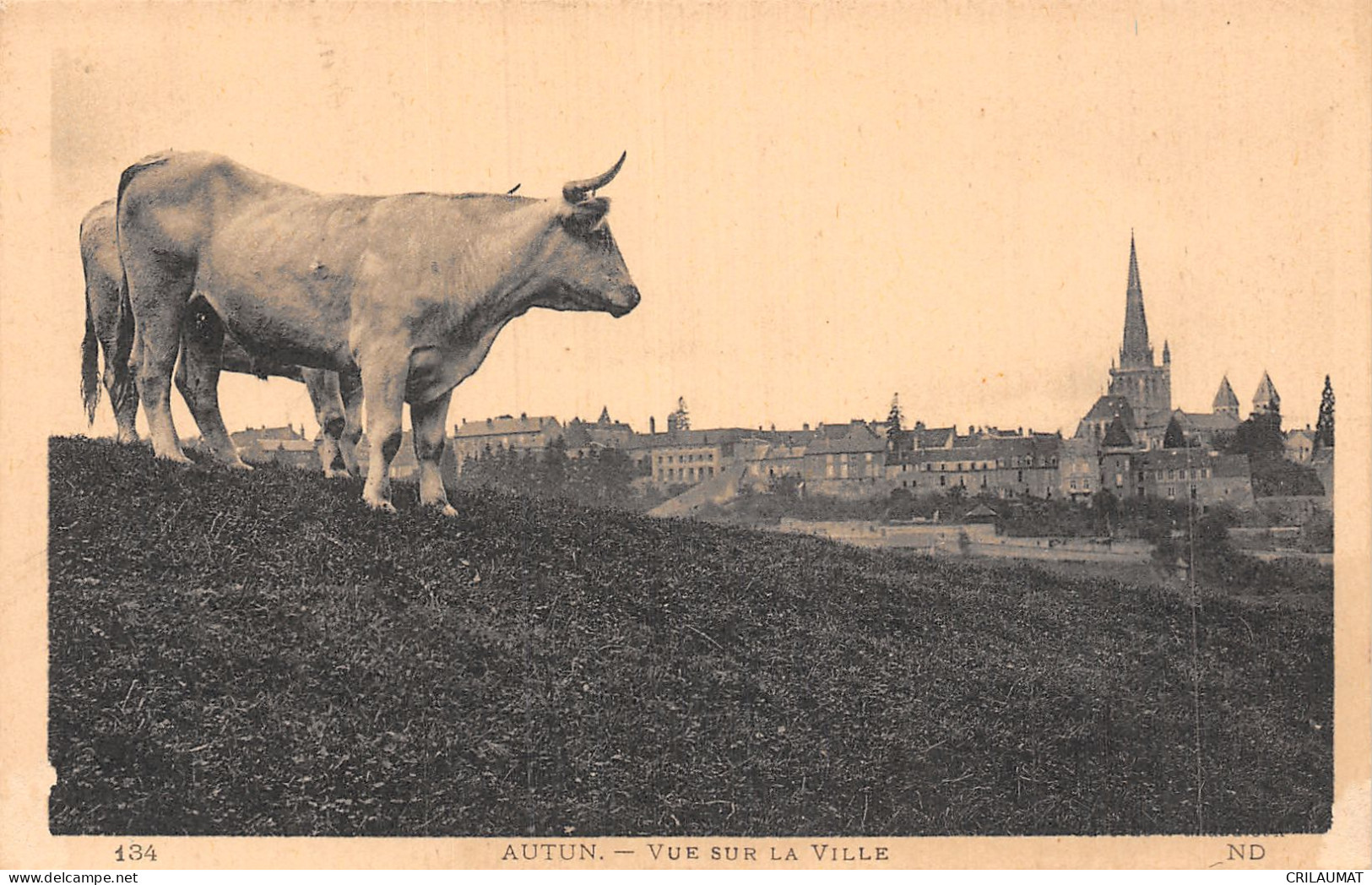 71-AUTUN-N°5150-C/0201 - Autun