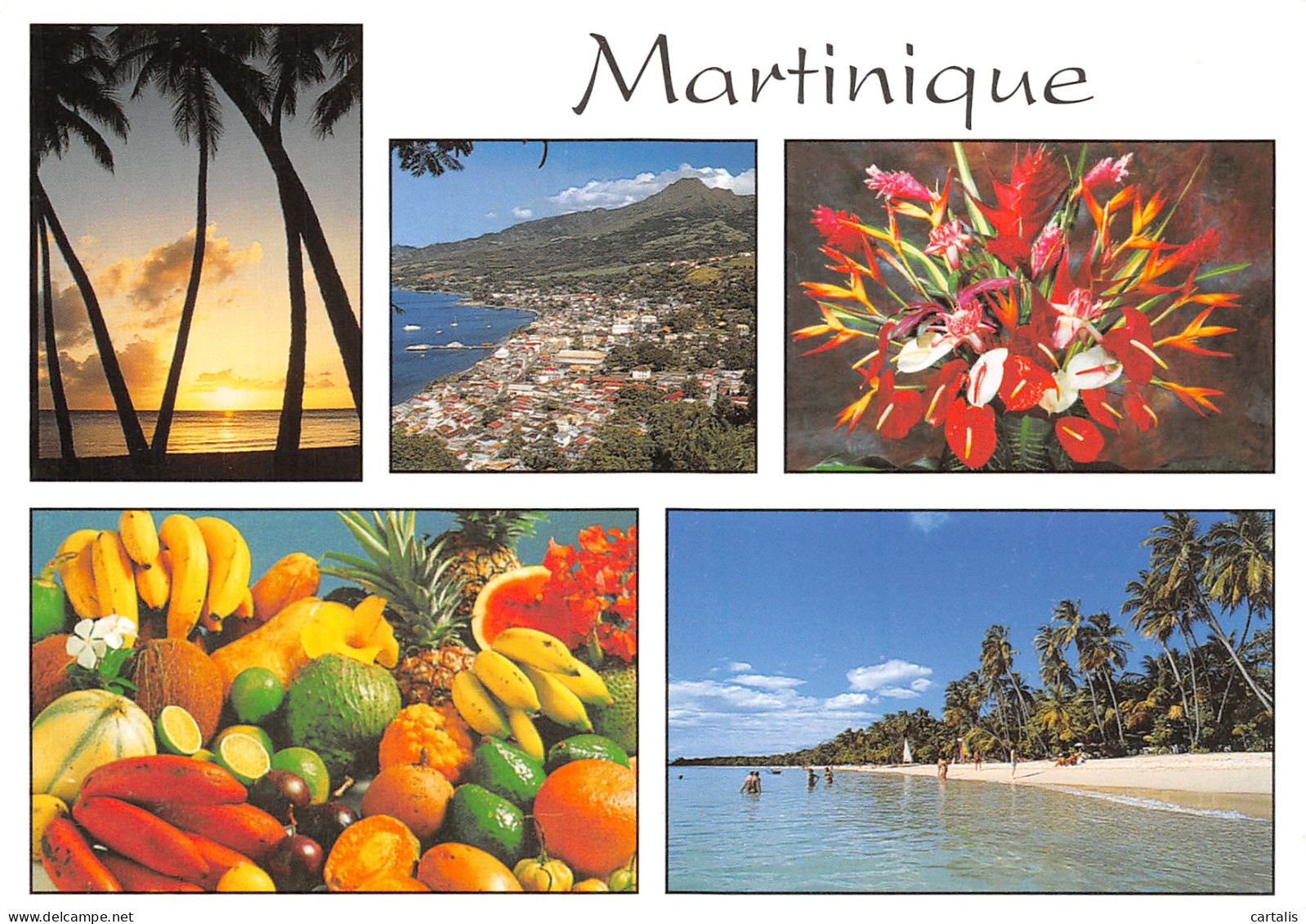 972-LA MARTINIQUE-N°4206-B/0231 - Autres & Non Classés