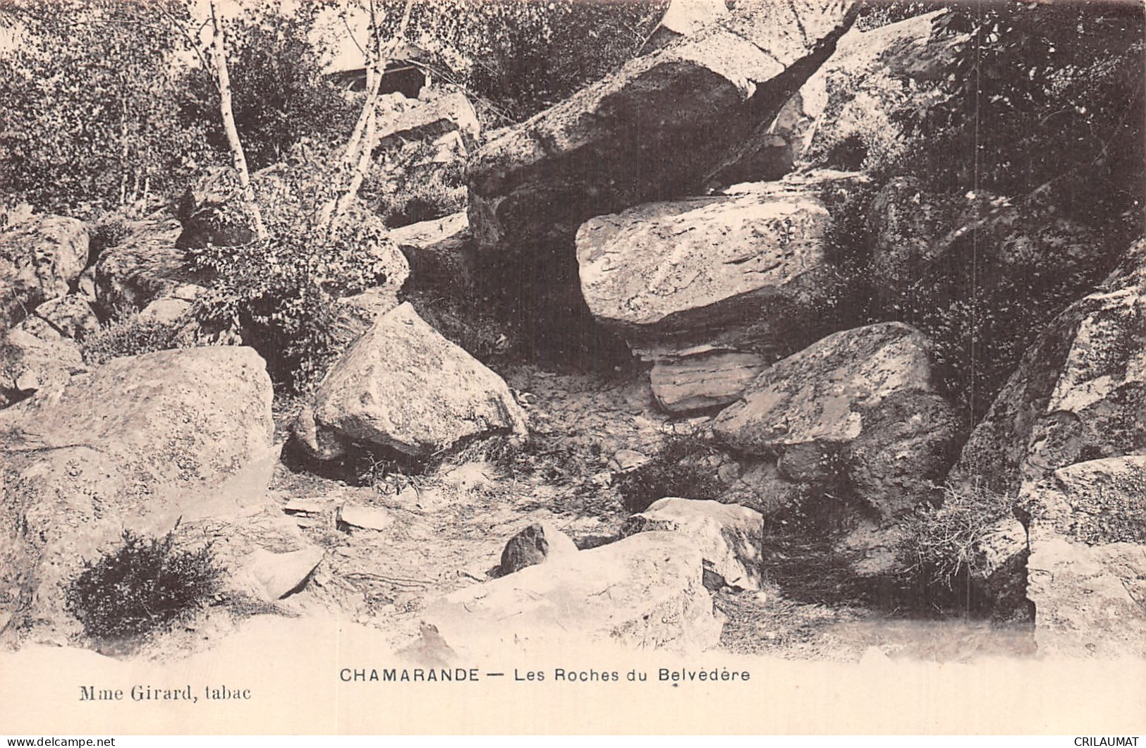 91-CHAMARANDE-N°5150-F/0349 - Sonstige & Ohne Zuordnung