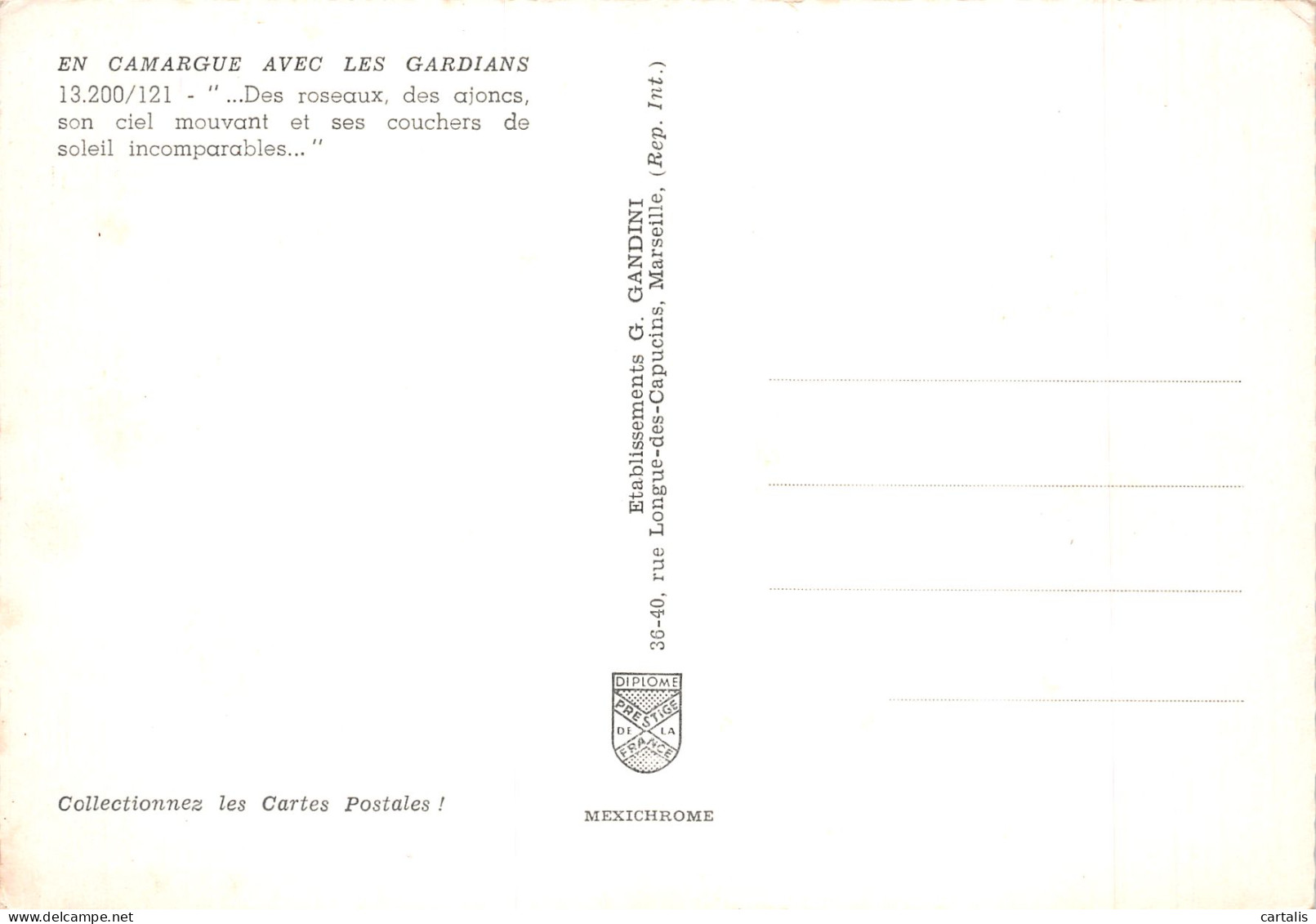 13-CAMARGUE -N°4207-A/0081 - Other & Unclassified