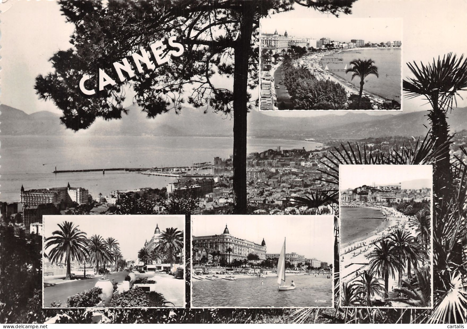 06-CANNES-N°4206-D/0239 - Cannes