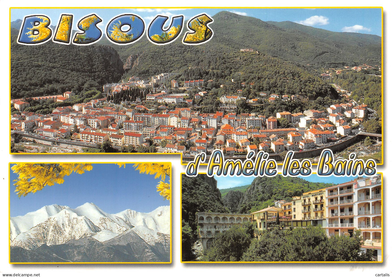 66-AMELIE LES BAINS-N°4206-D/0131 - Autres & Non Classés